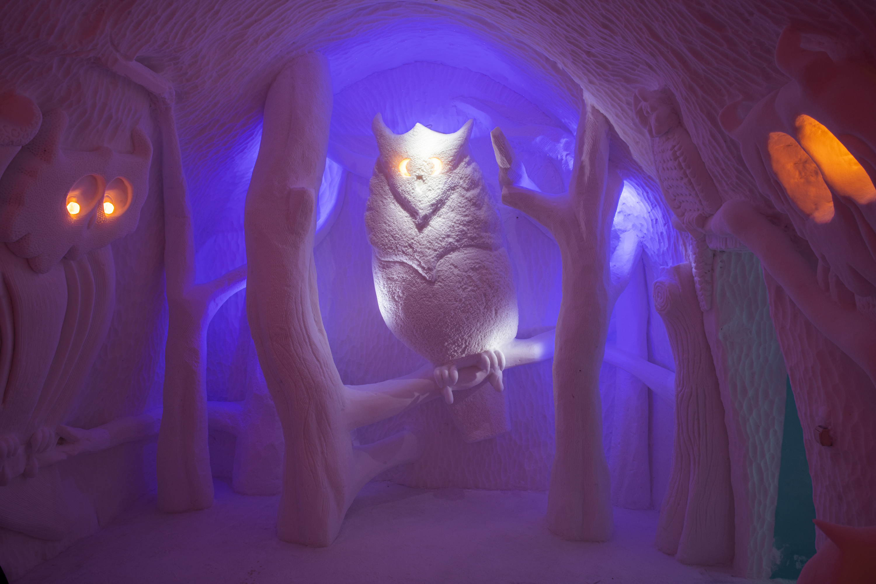 Visit art Suite Parliament of Owls | ICEHOTEL