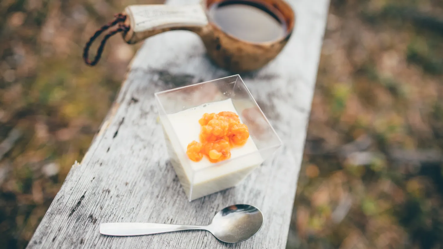 Icehotel vildmarksmiddag - en efterrätt med hjortron och kaffe.