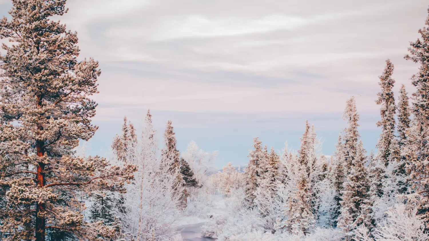 Nature view Swedish Lapland Icehotel_large
