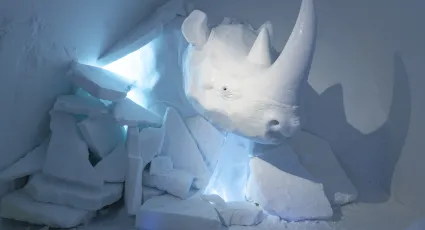 Art suite Whoops wrong room!! by AnnaSofia Mååg