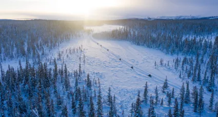 Snowmobile driving through winter wonderland