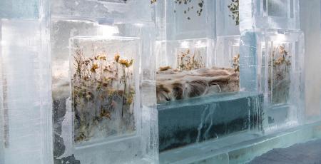 Bed surrounded by ice blocks with frozen flowers inside