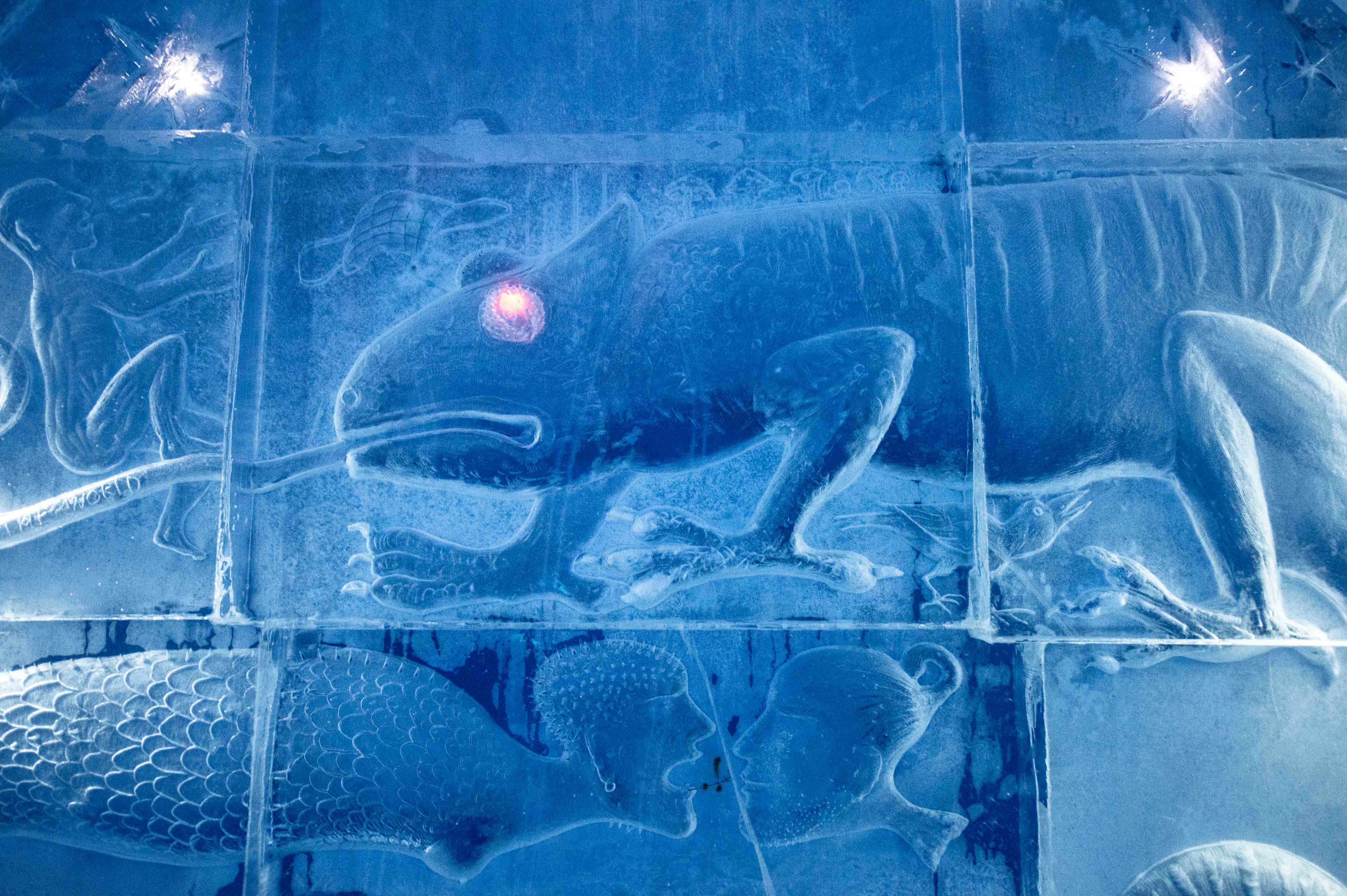 Deluxe suite Dreaming in a dream by Kestutis Musteikis & Vytautas Musteikis