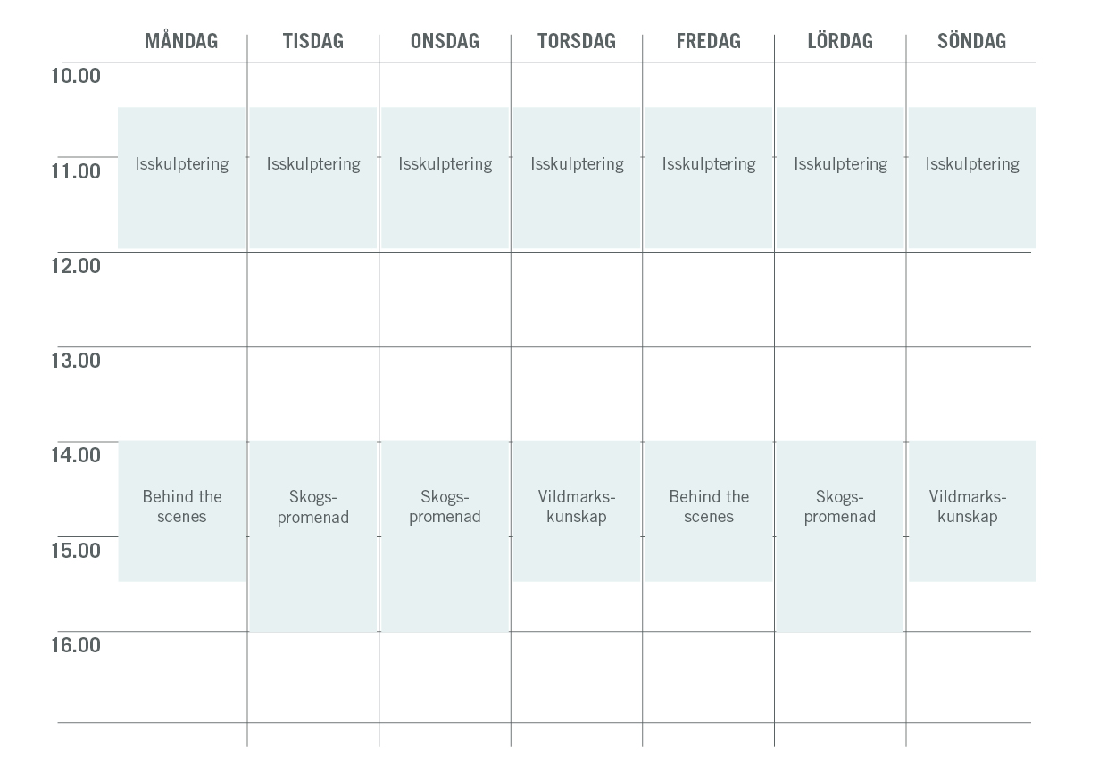 ny_calendar_activity_pass_2026.jpg