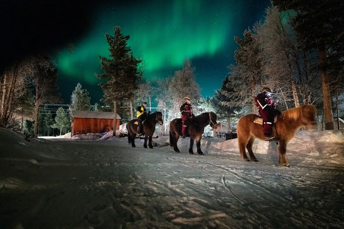horseback riders under the northern lights