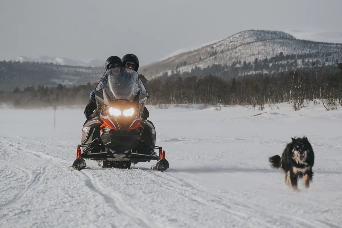 Snowmobile and dog