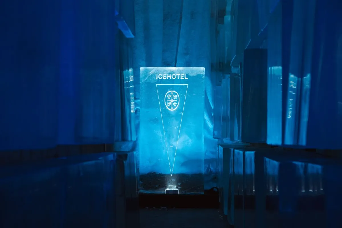 Activity Pass Ice sculpting and Olympics