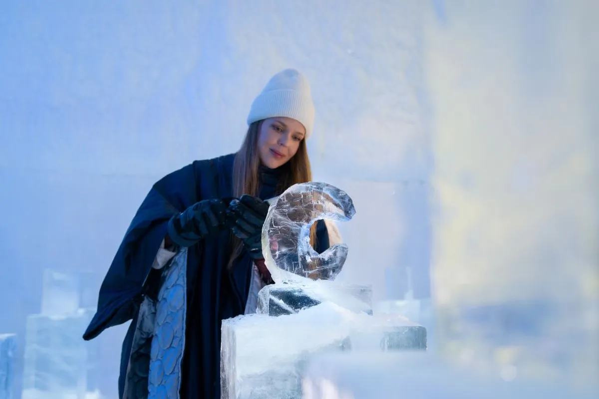 Activity Pass Ice sculpting and Forest walk