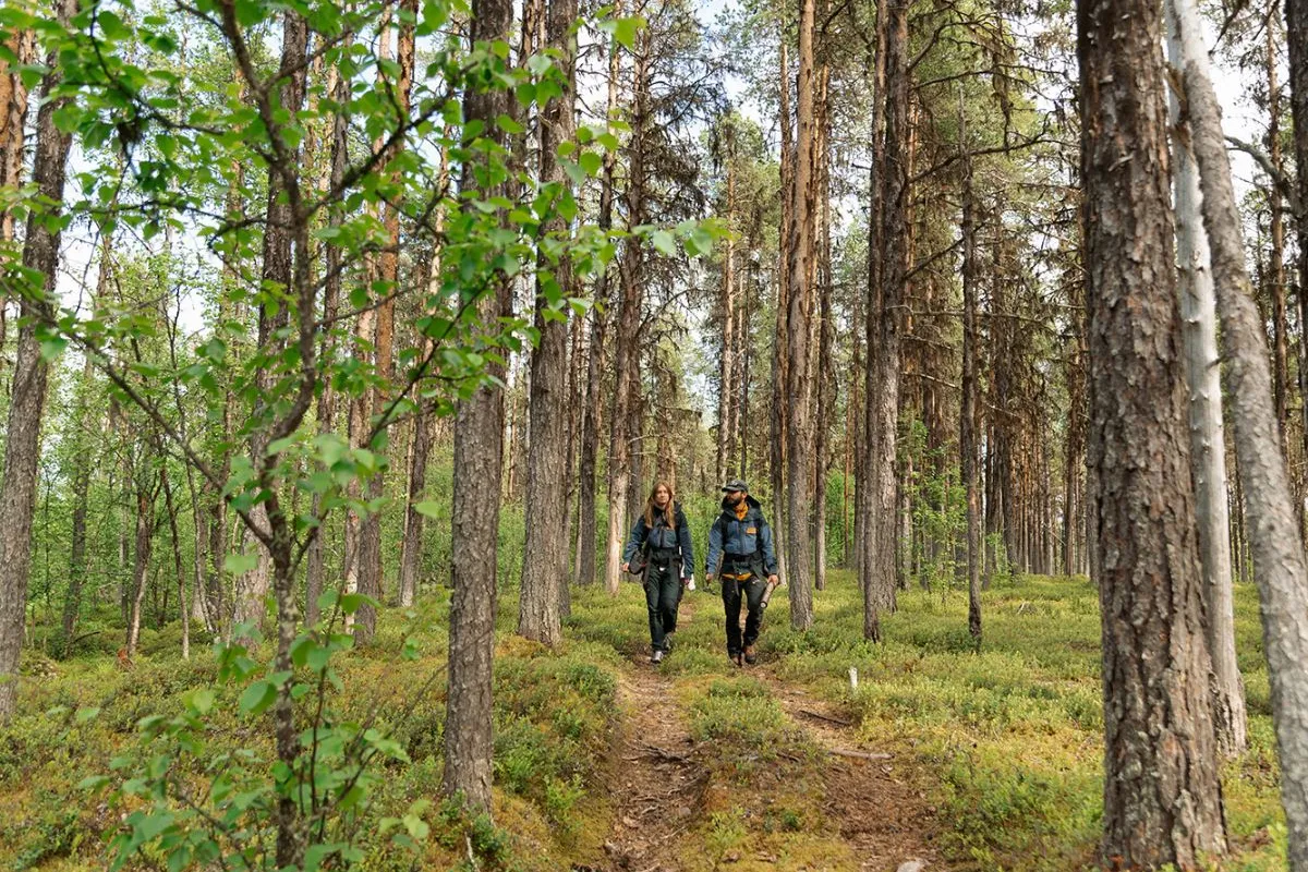 Aktivitetspasset med Skogspromenad