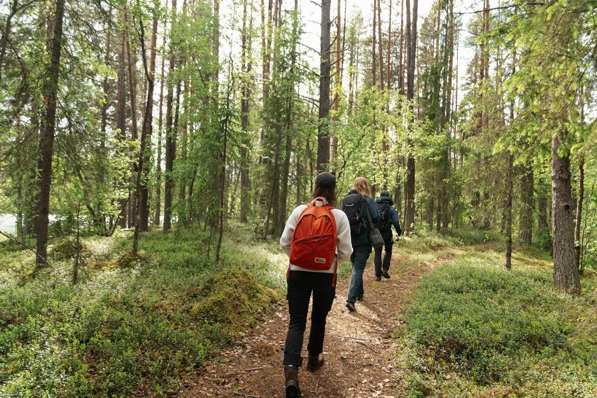walking through the forest