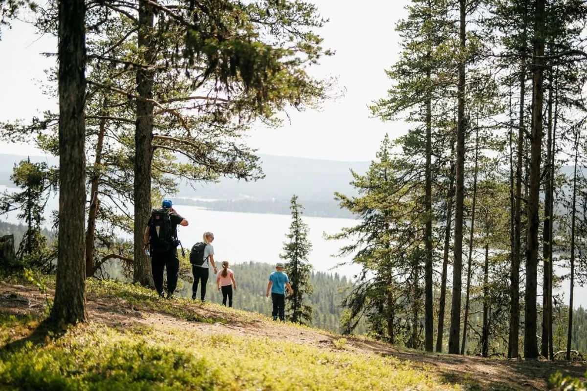 A family on a forest walk