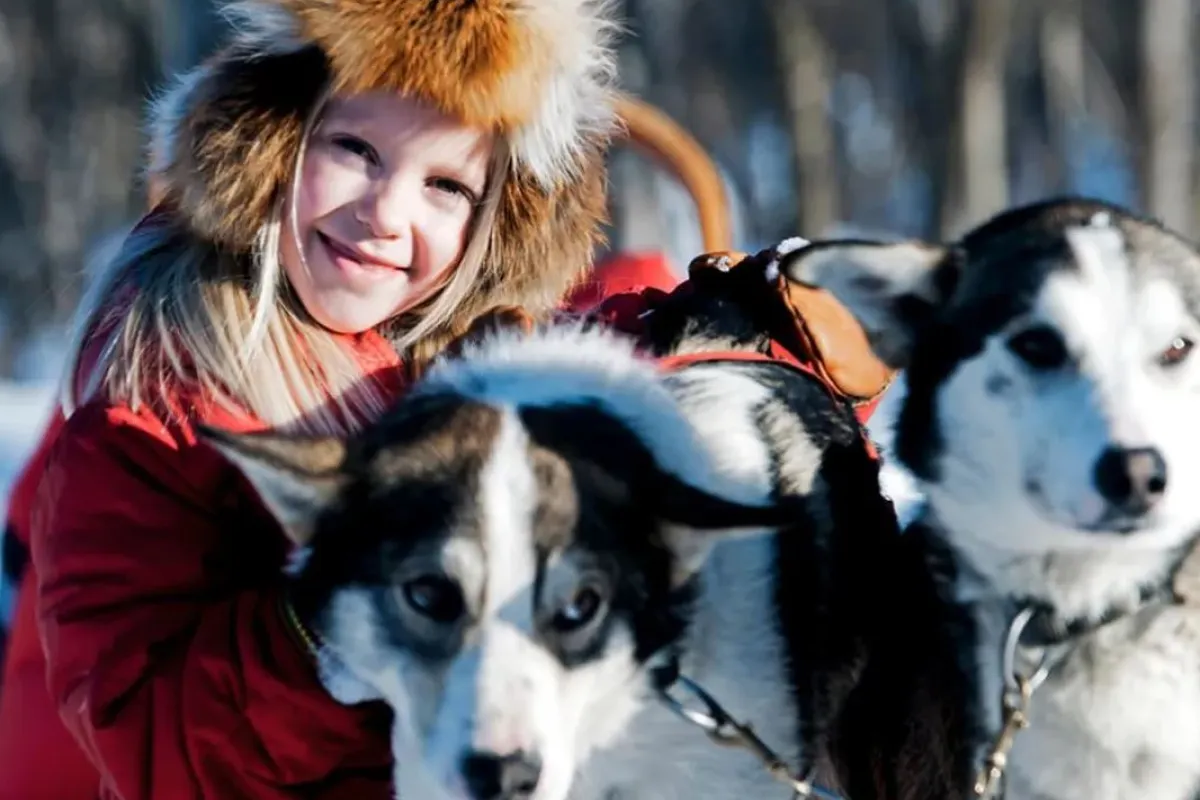 Hundspannstur genom vinterlandskapet