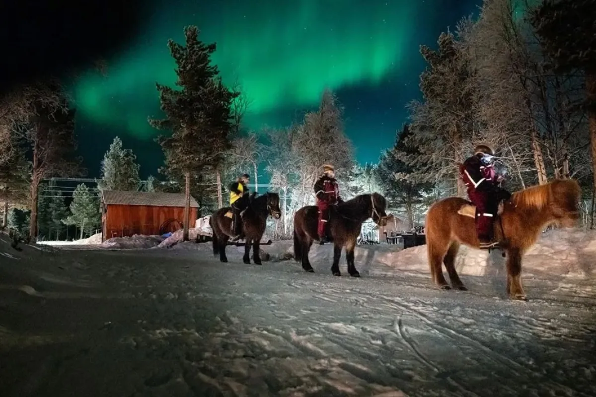 Horseback tour in the Northern Lights