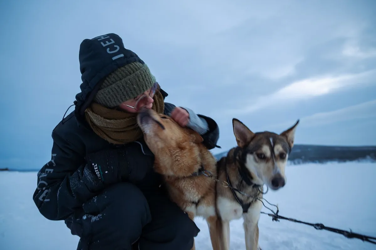 Icehotel dogsledding