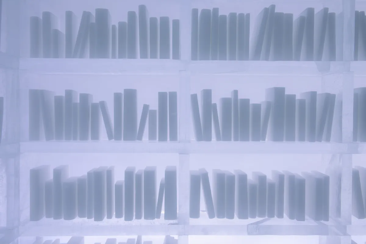 Art Suite Arctic Archive by Kristina Möckel & Sebastian Scheller