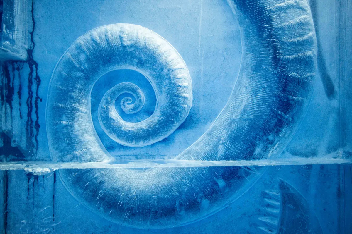 Deluxe Suite Dreaming in a Dream by Kestutis Musteikis & Vytautas