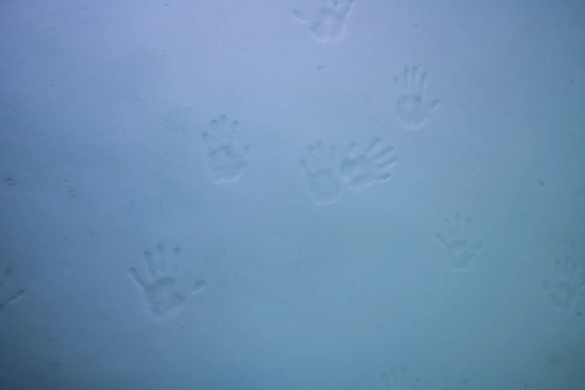 Art Suite Sacred Giant by AnnaSofia Mååg, Emilia Elisson, My Flink & Oscar Insulander