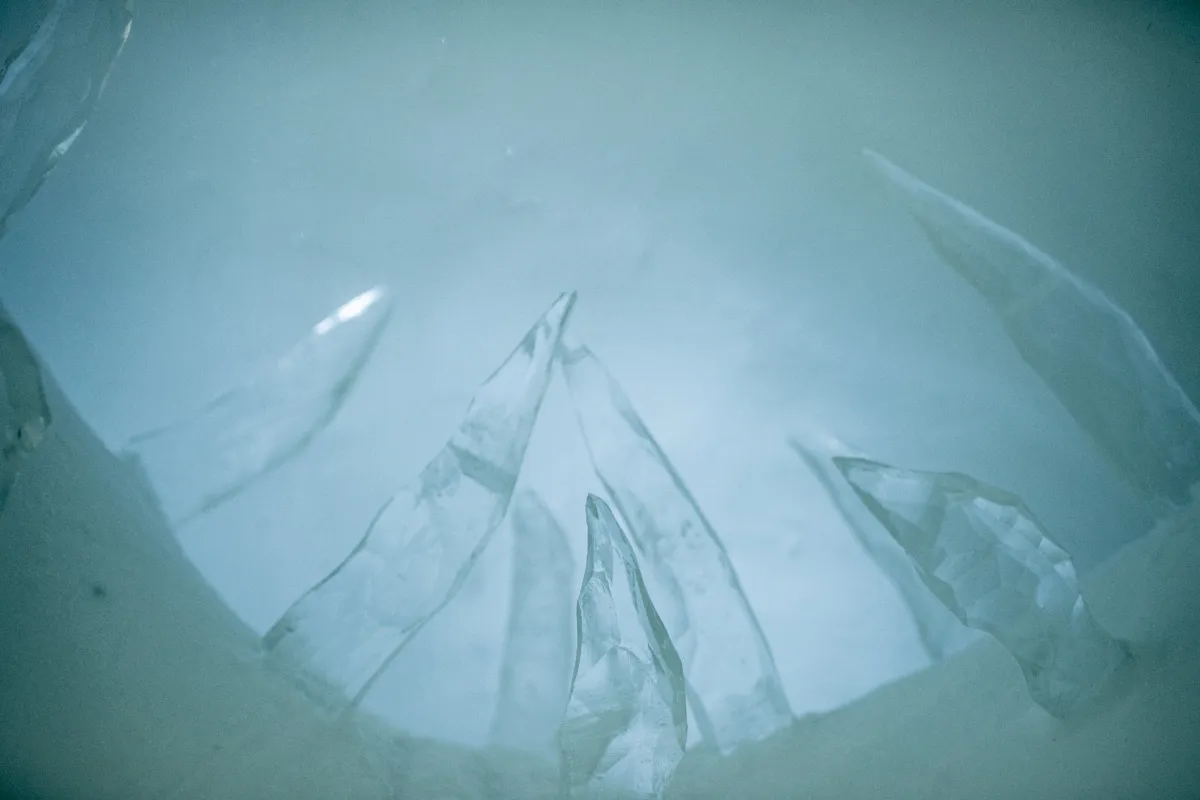 Art Suite Legacy by Carl Wellander & Regin Wellander