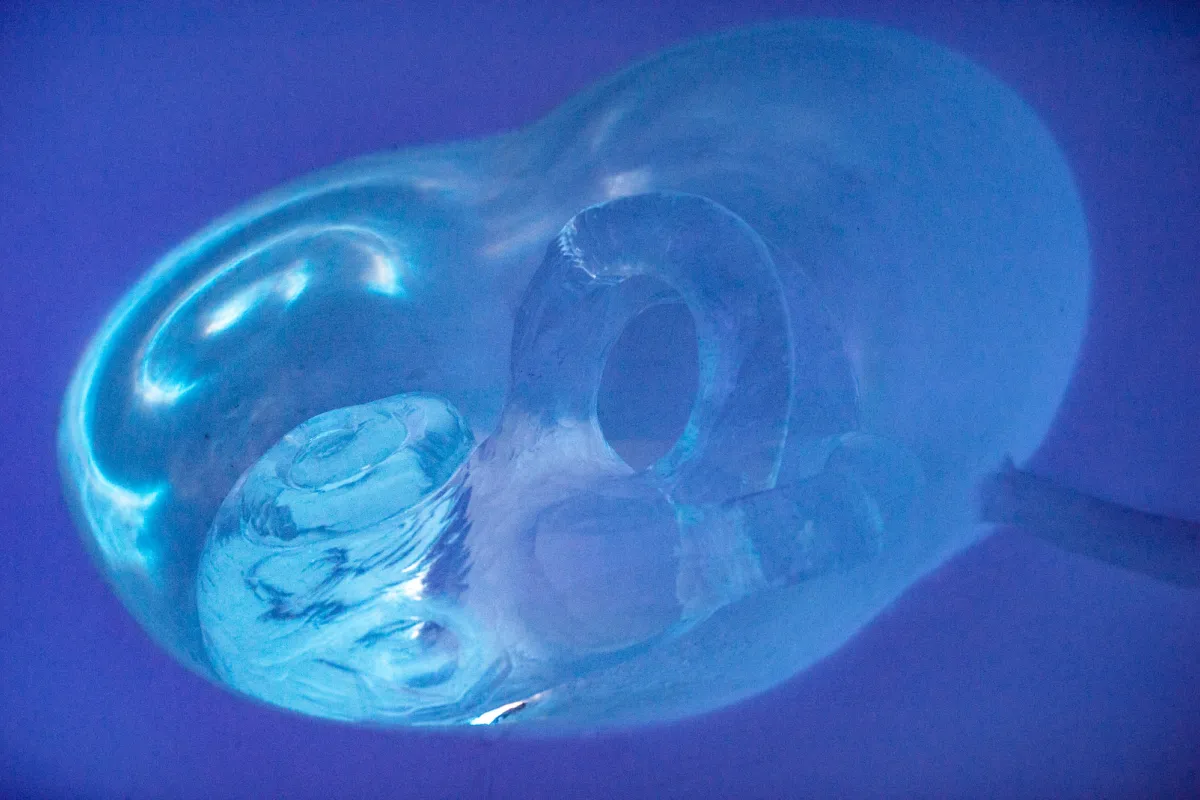 Art Suite Auris Interna by Julia Adzuki & Patrick Dallard