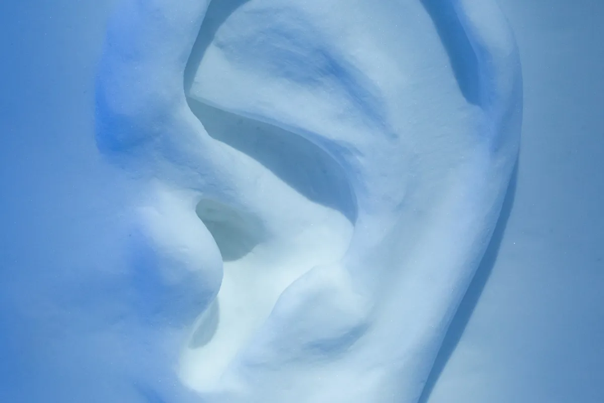 Art Suite Auris Interna by Julia Adzuki & Patrick Dallard