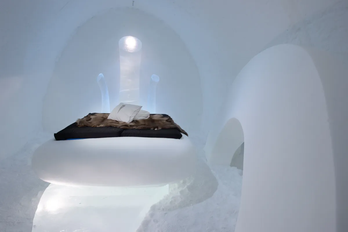 Art Suite Mr Ribston by Henkia