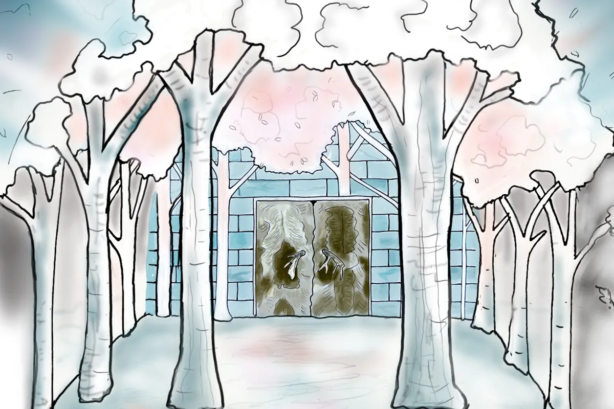 Main Hall Cathedral Grove by Dawn Detarando & Brian McArthur