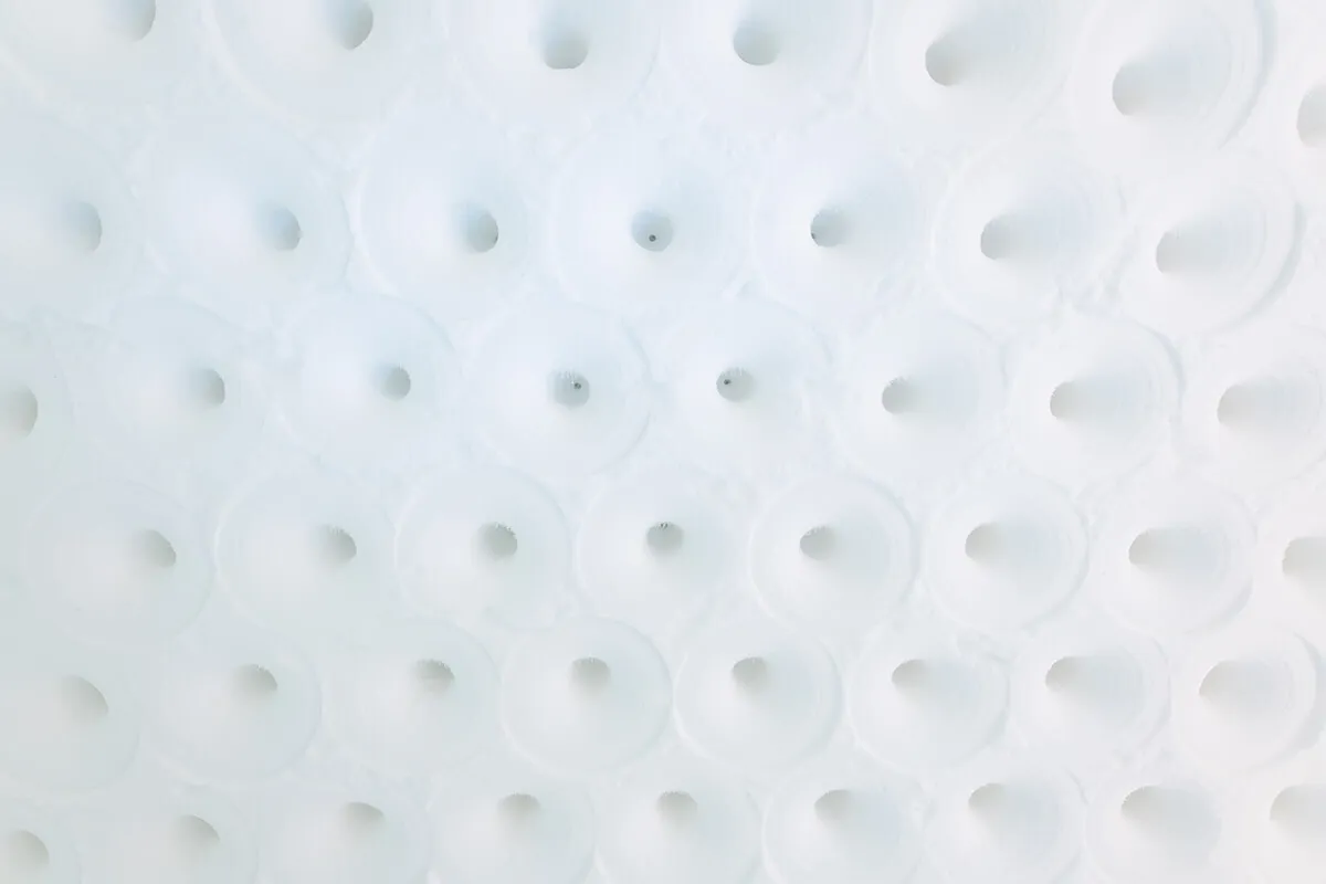 Art Suite Different Natures by Rob Harding & Timsam Harding