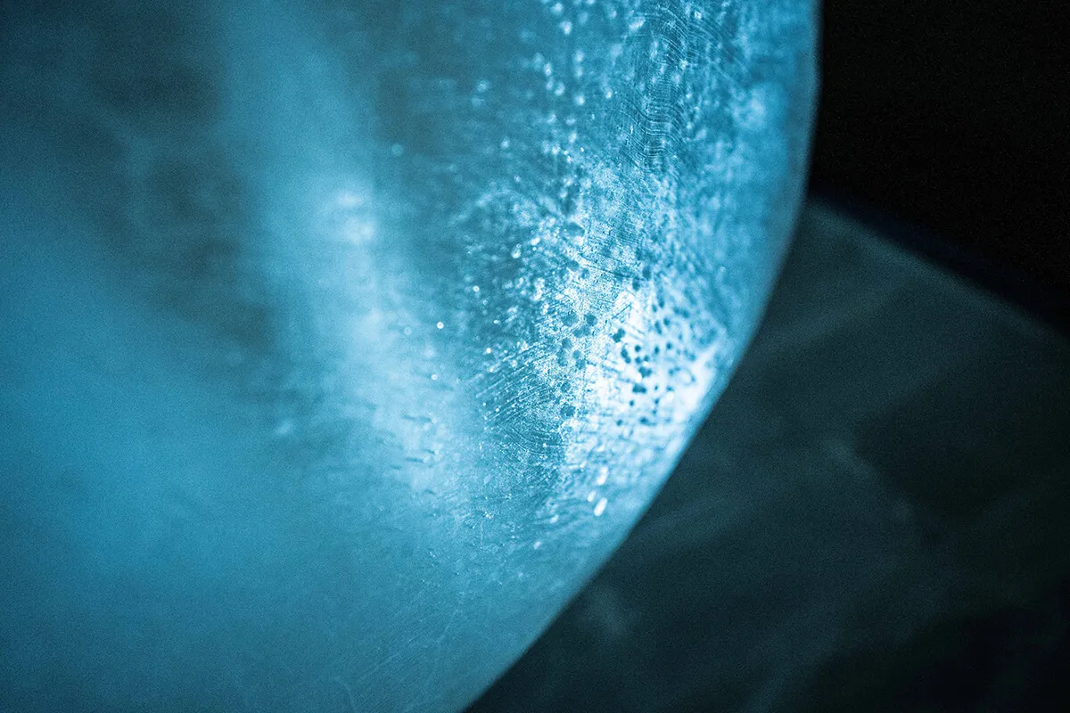 Art Suite Different Natures by Rob Harding & Timsam Harding