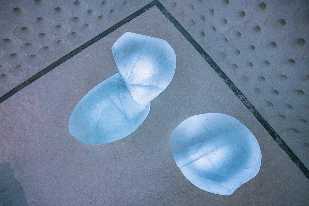 Art Suite Different Natures by Rob Harding & Timsam Harding