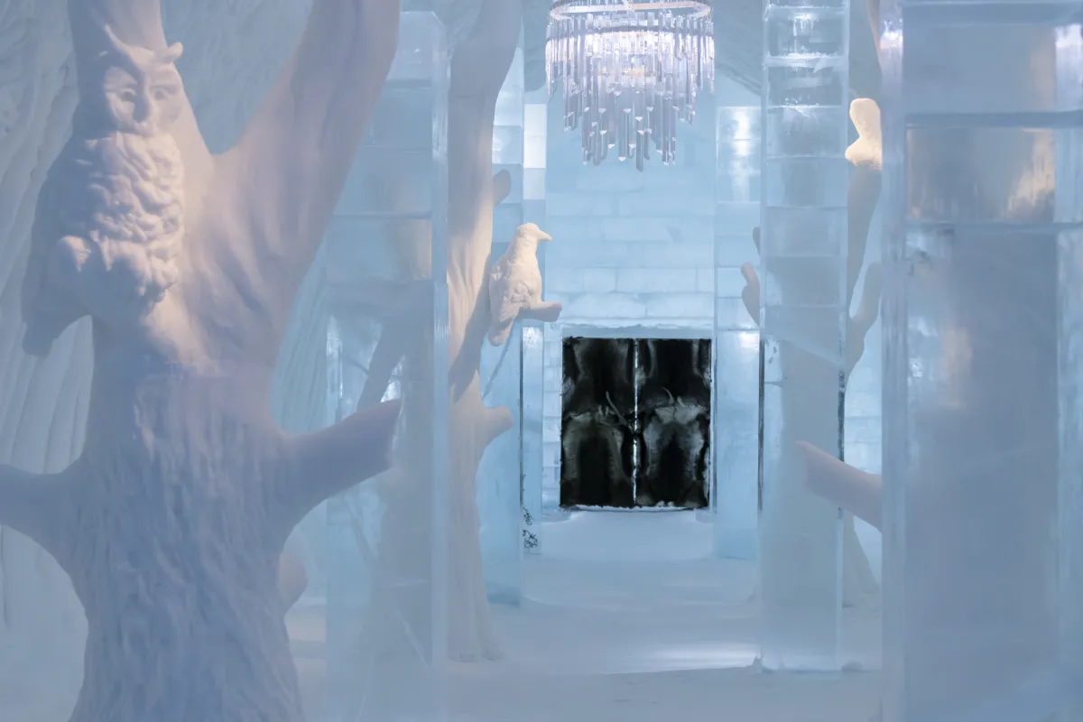 Main Hall Cathedral Grove by Brian McArthur & Dawn Detarando