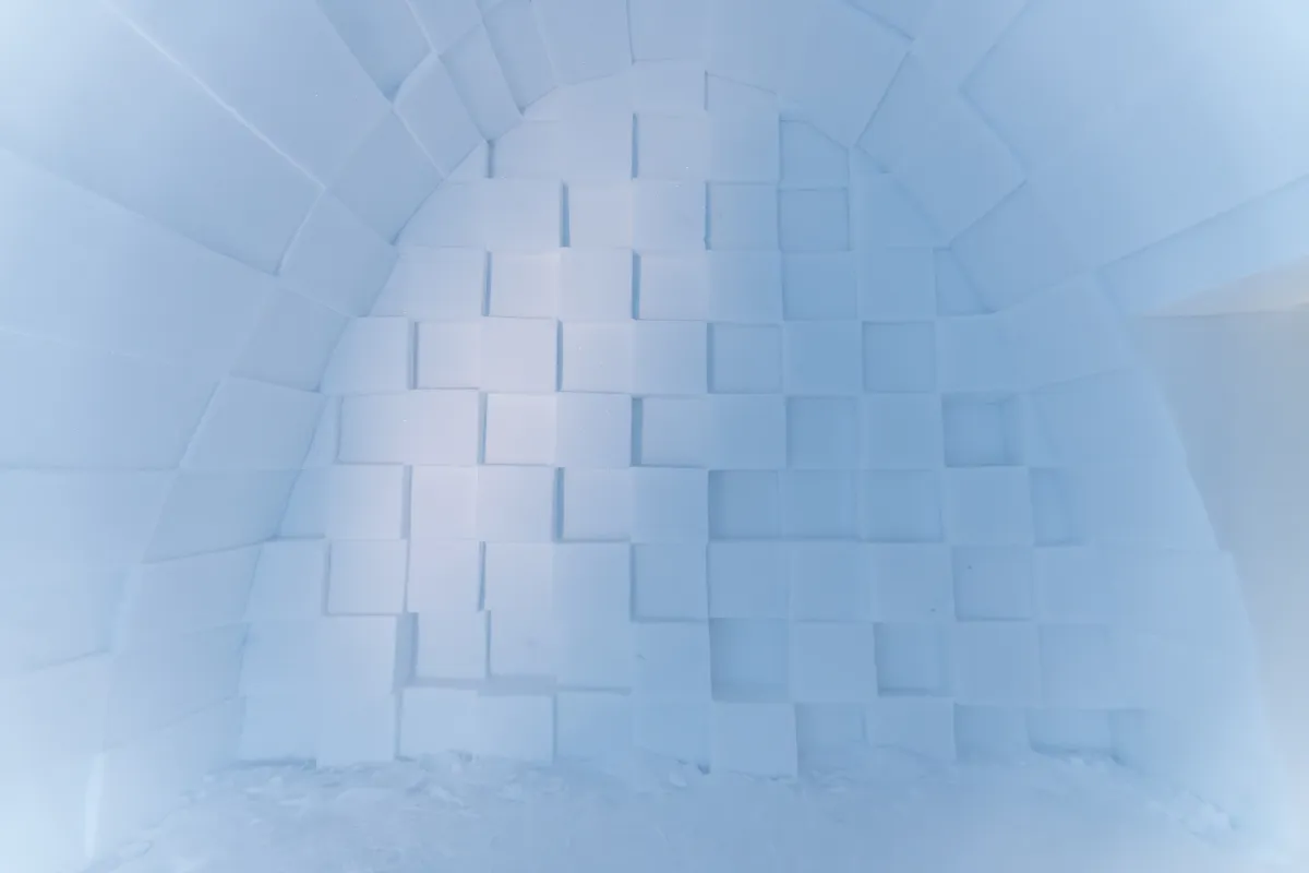 Art Suite Spaghettification by Thomasz Czajkowski & Milosz Matelski