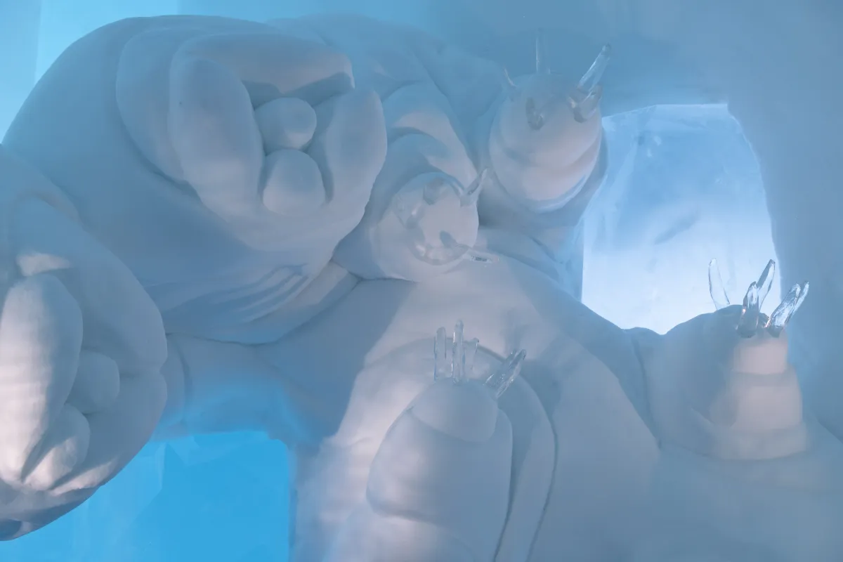 Visit Art Suite Survival of the Fittest | ICEHOTEL