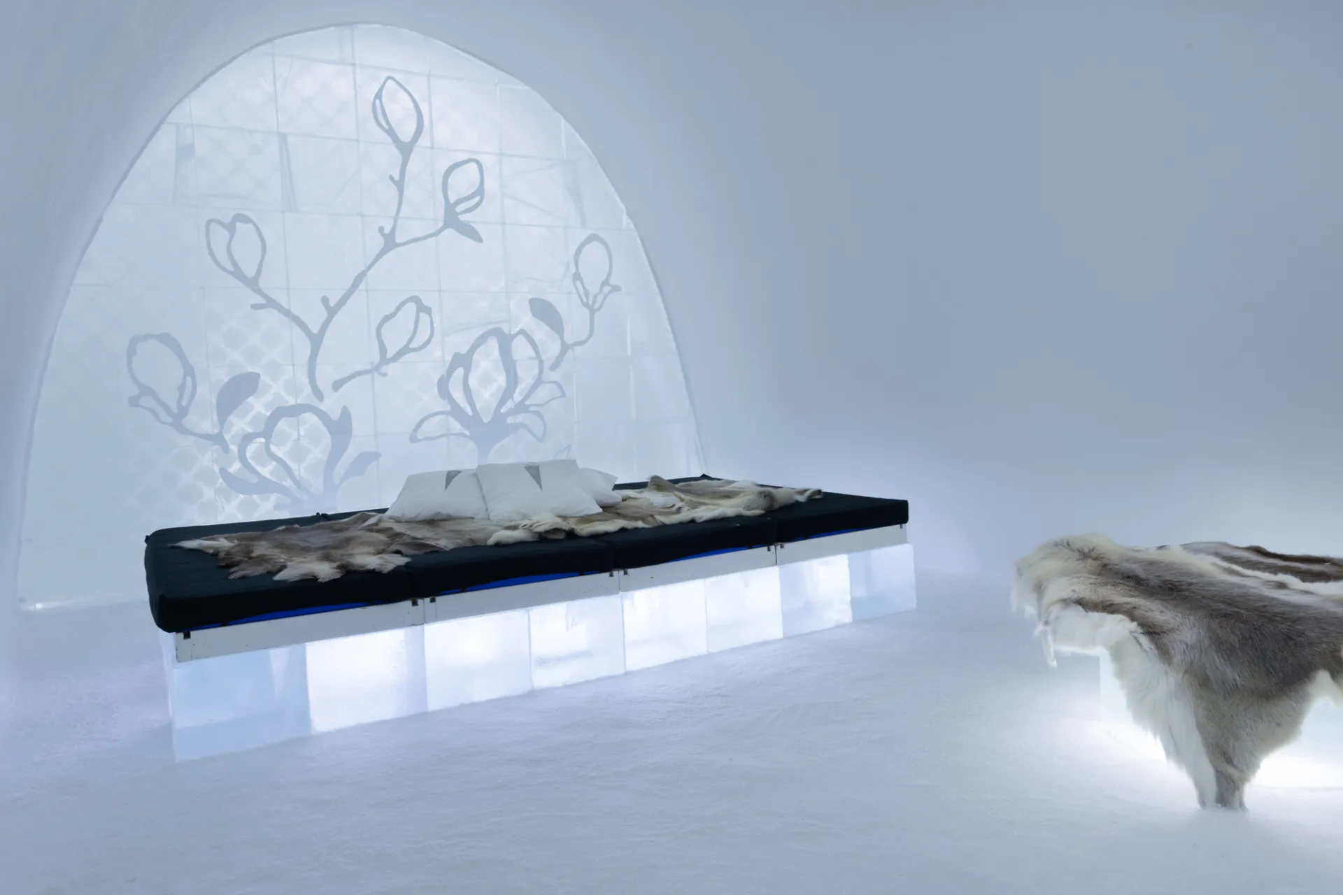 Art Suite The Winter Garden by Nina Kauppi & Johan Kauppi