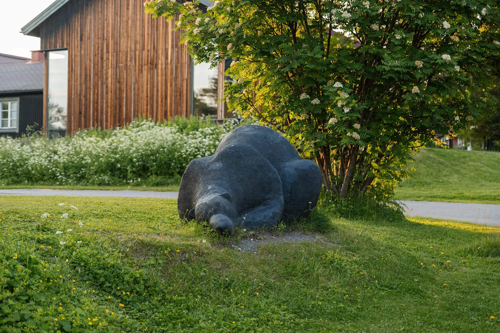 Svarta Björn, AnnaSofia Mååg, 2011