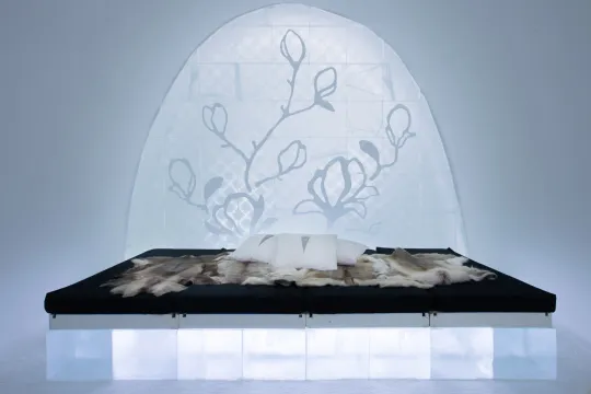 Art Suite The Winter Garden by Nina Kauppi & Johan Kauppi