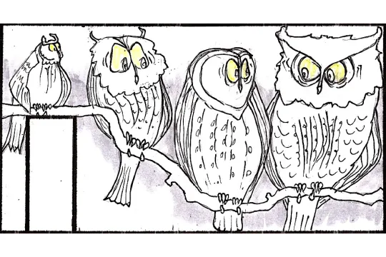 Art Suite Parliament of Owls by David Rothstein & Carlos Miguel Ramirez Pereyra