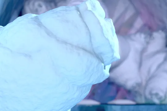 Art Suite Survival of the Fittest by Carl Wellander & Ellen Wellander