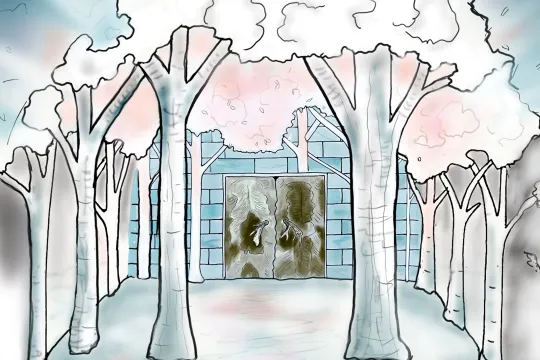 Main Hall Cathedral Grove by Dawn Detarando & Brian McArthur