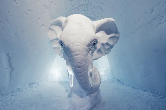 ICEHOTEL 26
