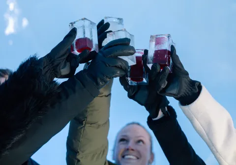 people celebrating in ice bar with ice drink